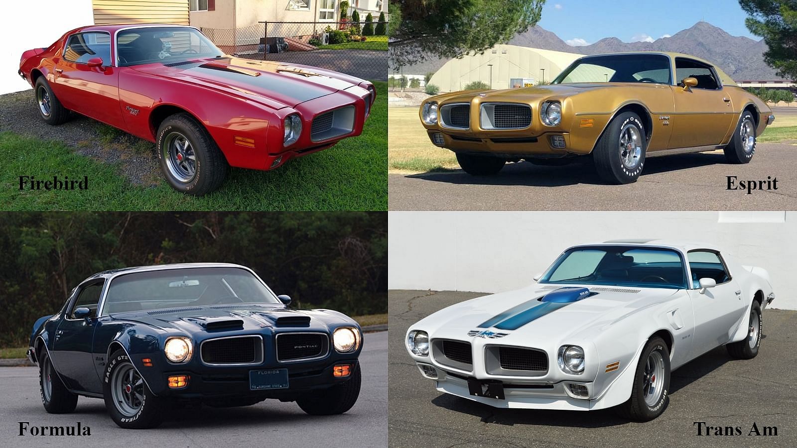 Pontiac Firebird, Pontiac Firebird Esprit, Pontiac Firebird Formula, Pontiac Firebird Trans AM