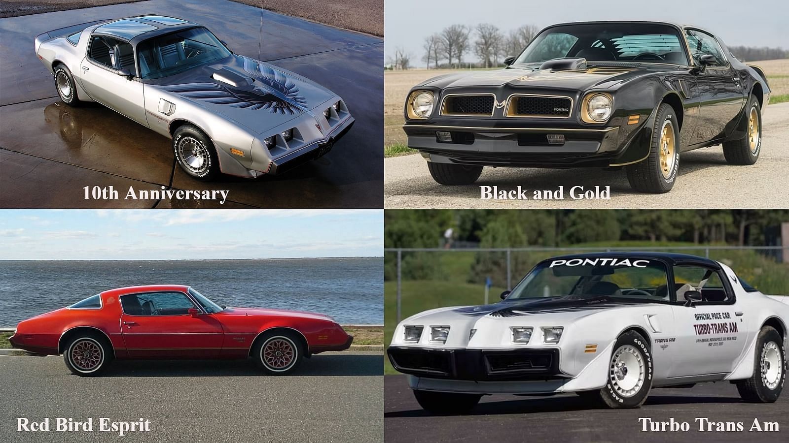 Pontiac Firebird models from 1977 to 1981