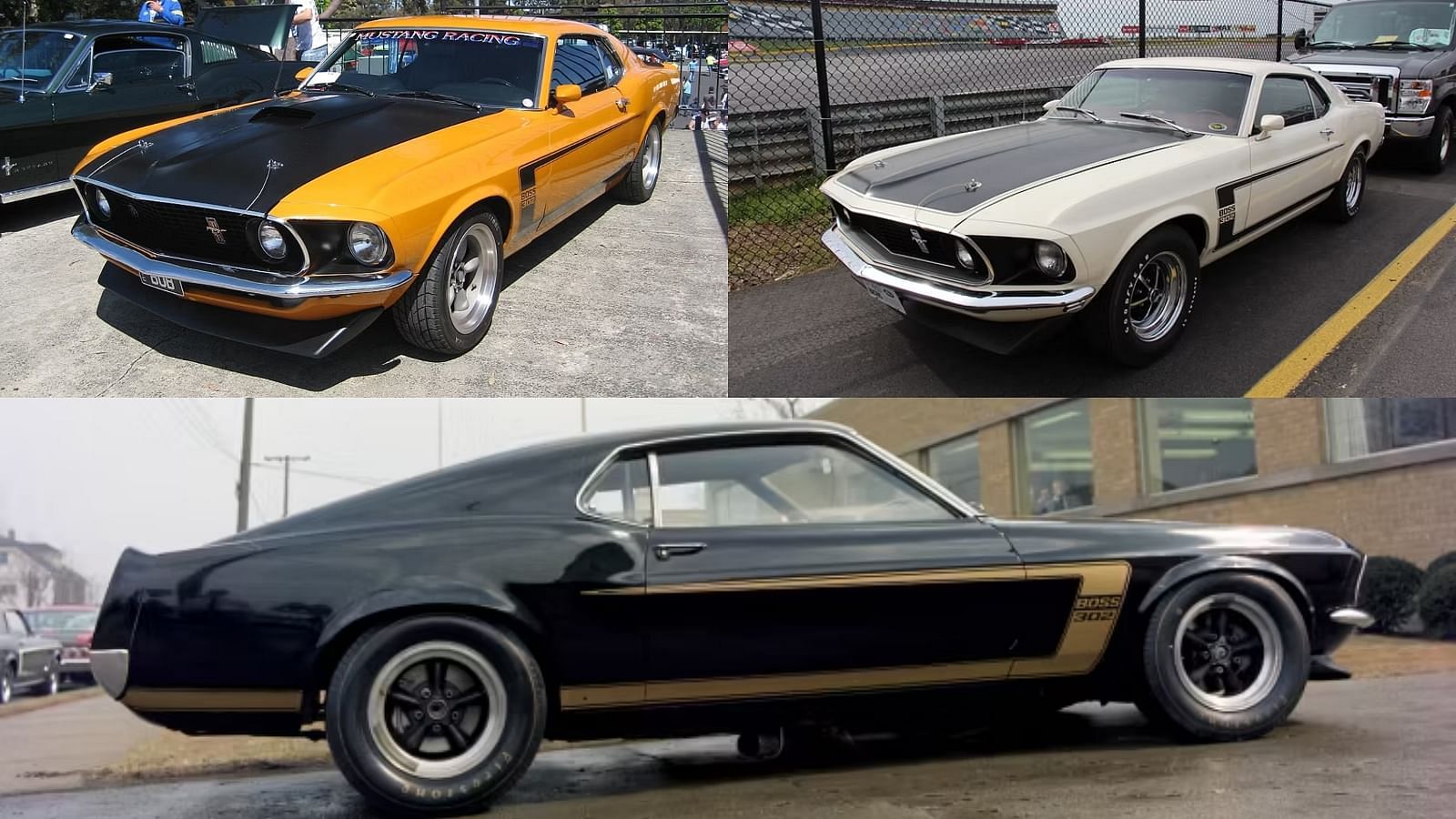 Ford Boss 302 Mustang in Black & Gold,  Black & Yellow, and Black & Beige color