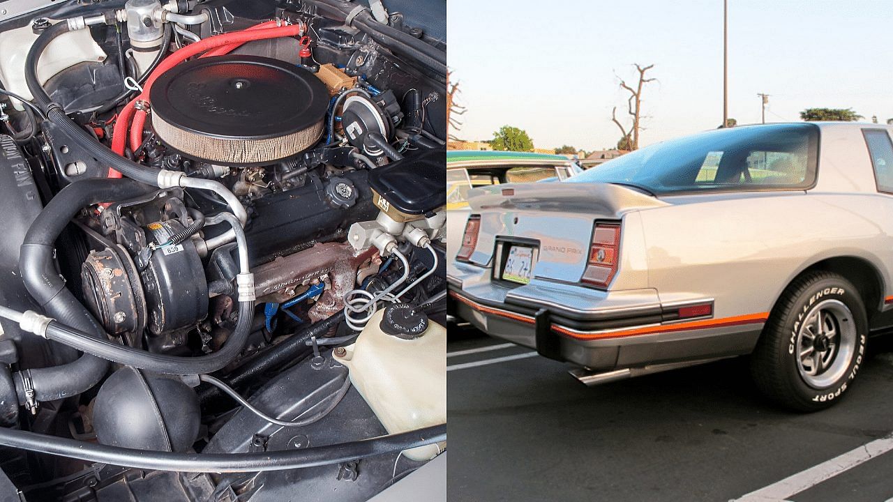 1986 Pontiac Grand Prix 2+2 engine and rear end view