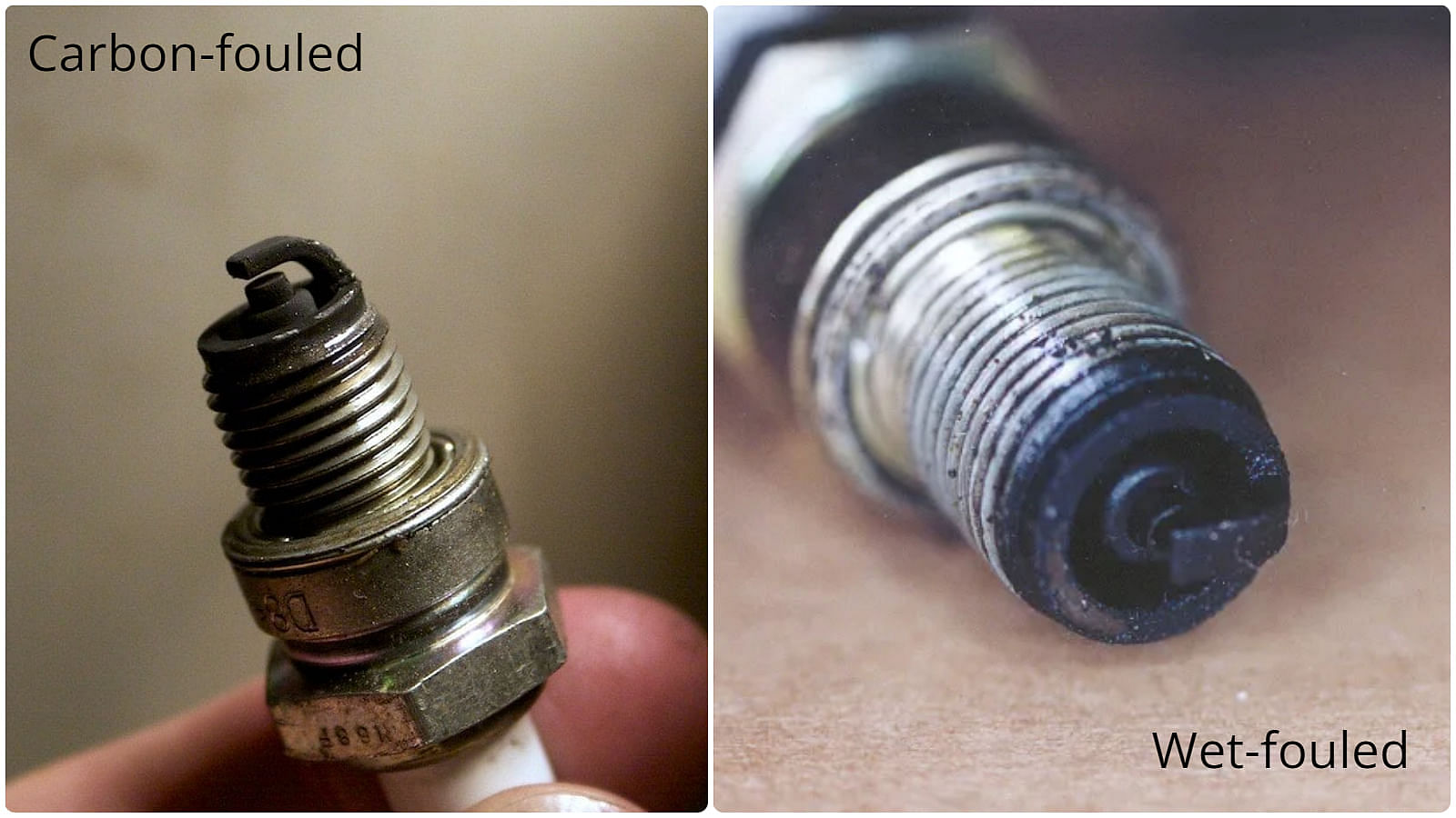 Spark Plug