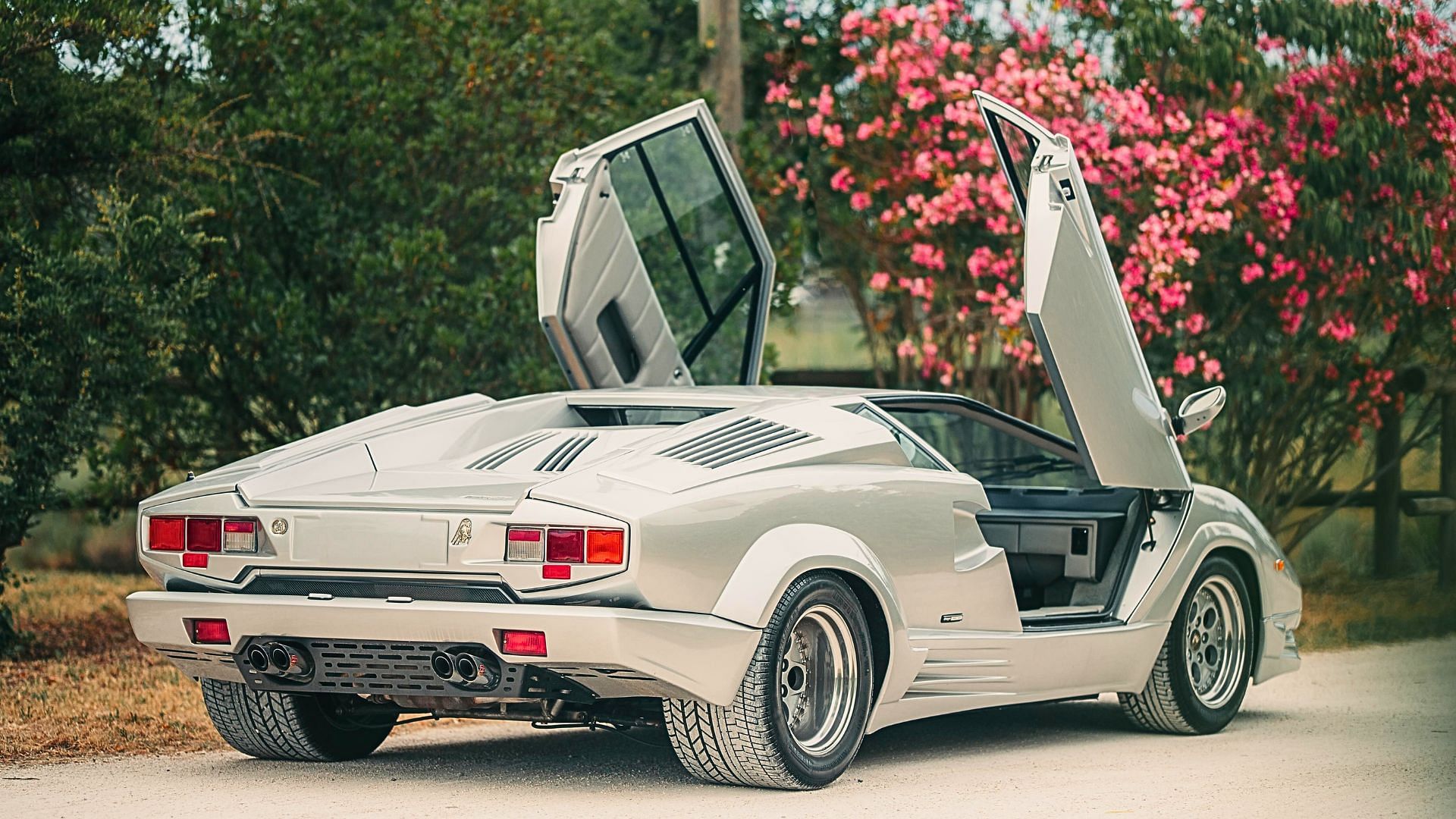 lamborghini countach rear